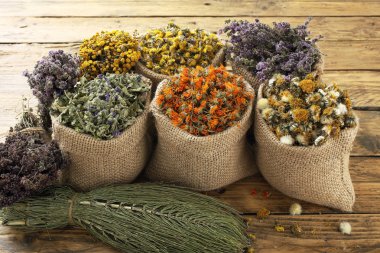 çeşitli tıbbi otlar kurutulmuş