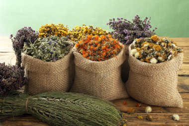 çeşitli tıbbi otlar kurutulmuş