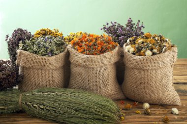 çeşitli tıbbi otlar kurutulmuş