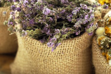 tıbbi bitki mercanköşk oregan kurutulmuş