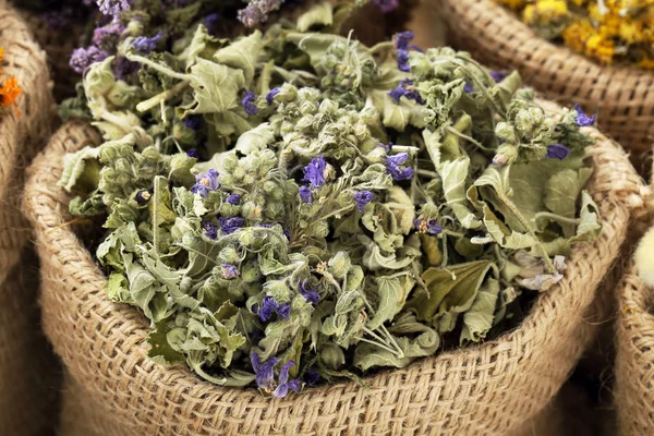 Dried mallow herb and flower — Stock Photo, Image