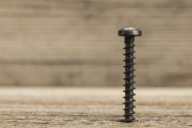Ahşap tahta vidalı vida