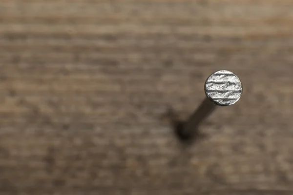 A nail into a wooden plank — Stock Photo, Image