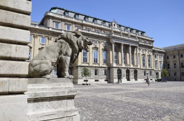 Royal Palace in Budapest. 4