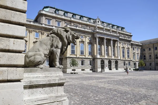 Royal Palace in Budapest. 4 — Stock fotografie