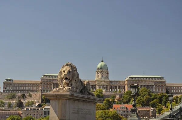 Královský palác, Budapešť. — Stock fotografie