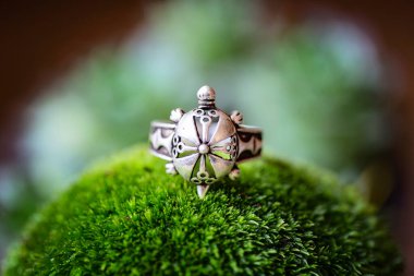 Yeşil yosun zemin üzerinde kaplumbağa şeklinde saf gümüş bir yüzük.