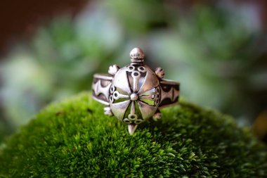 Yeşil yosun zemin üzerinde kaplumbağa şeklinde saf gümüş bir yüzük.