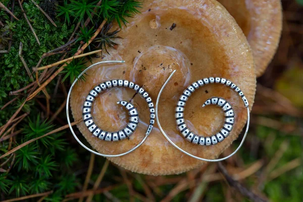 Silver Metal Spiral Worm Shape Earrings Forest Mushroom — Stock Photo, Image