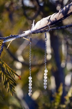 Labradorit taşından küpeler doğal arka planda asılı.