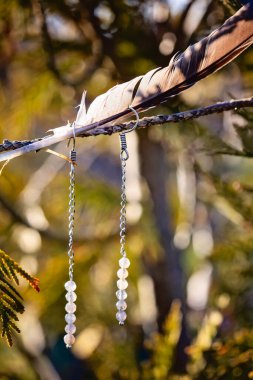 Labradorit taşından küpeler doğal arka planda asılı.