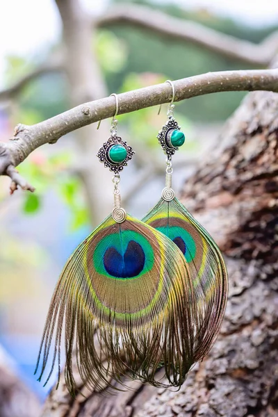Peacock Péřové Náušnice Minerálními Korálky Zavěšenými Přírodě — Stock fotografie