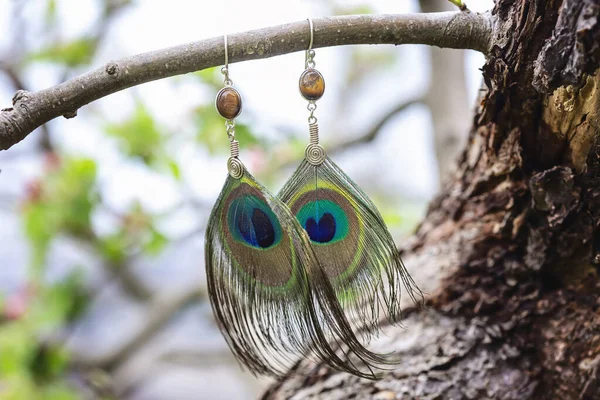 Peacock Veren Oorbellen Met Minerale Kraal Opknoping Natuur — Stockfoto