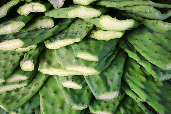 Nopales Pás de cacto no mercado — Fotografia de Stock