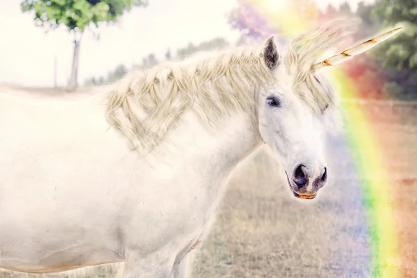 Tures Of Unicorns - Cute Unicorn Pictures Youtube - As a ...