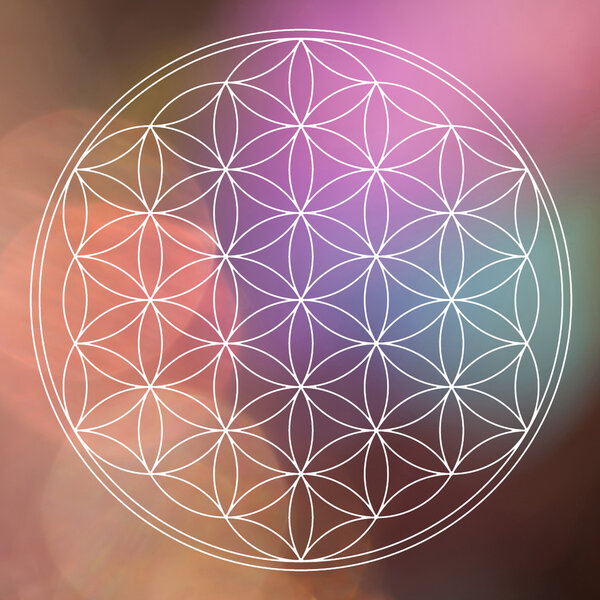 Цветок жизни