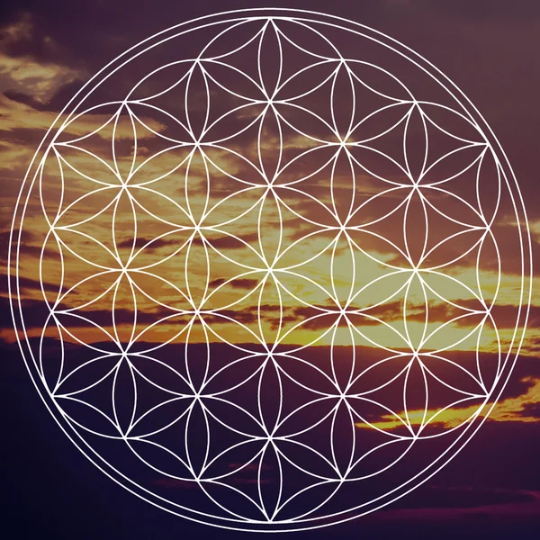 Flower of life — Stock Photo, Image