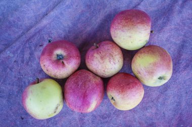 kumaş üzerine elma