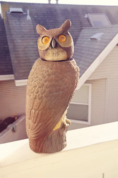 Owl statue keeping watch — Stock Photo, Image