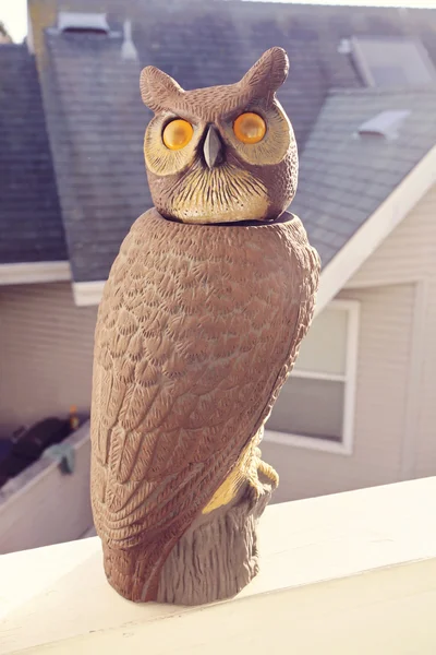 Statue de hibou veille — Photo