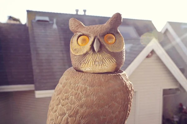 Owl statue keeping watch — Stock Photo, Image