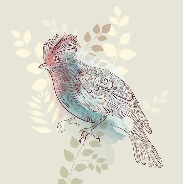 Vacker akvarell fågel — Stock vektor