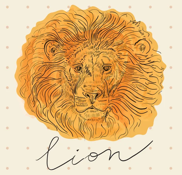 ライオンが描かれたイラストを手します。 — ストックベクタ