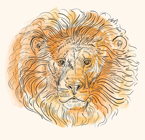 Handgezeichnete Illustration mit Löwenkopf — Stockvektor