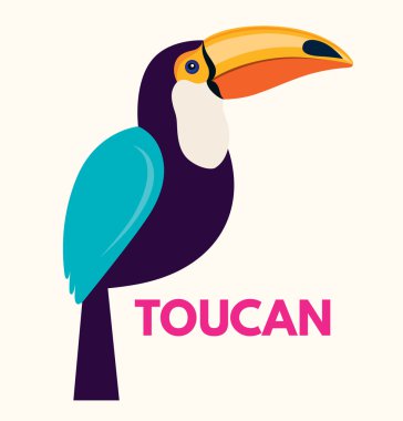 güzel toucan kuş