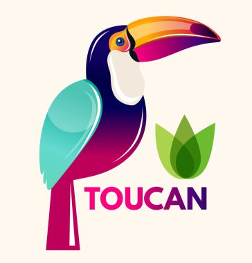 güzel toucan kuş