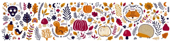 Coleção Decorativa Outono Com Abóboras Folhas Animais Símbolos Halloween — Vetor de Stock