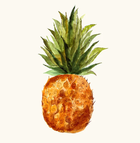 Ananas lumineux dessiné à la main — Image vectorielle