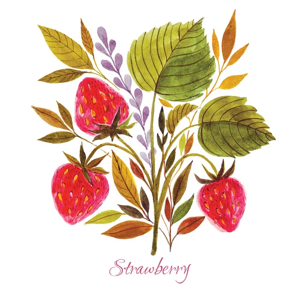 手工绘制的草莓 . — 图库矢量图片