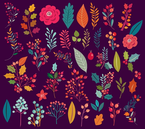 Colección de flores y hojas vintage . — Vector de stock