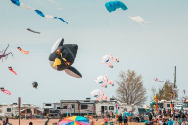 Grand Haven Michigan 'da uçan dev penguen uçurtması