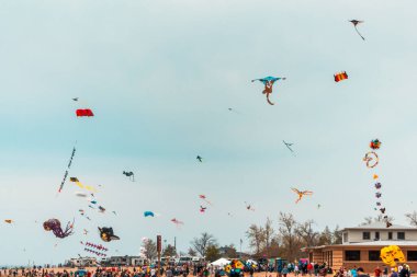 Uçurtma festivalinde gökyüzünde süzülen uçurtmalar