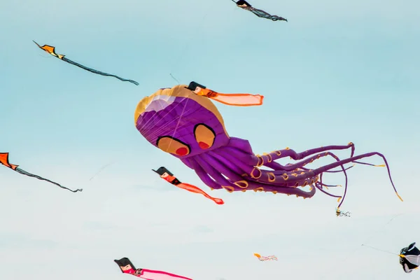 凧祭りで巨大なタコカイト — ストック写真