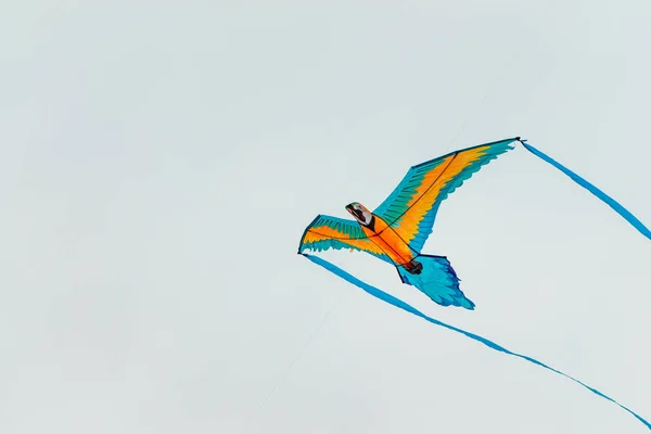 Parrot Kite Flying Sky — 스톡 사진