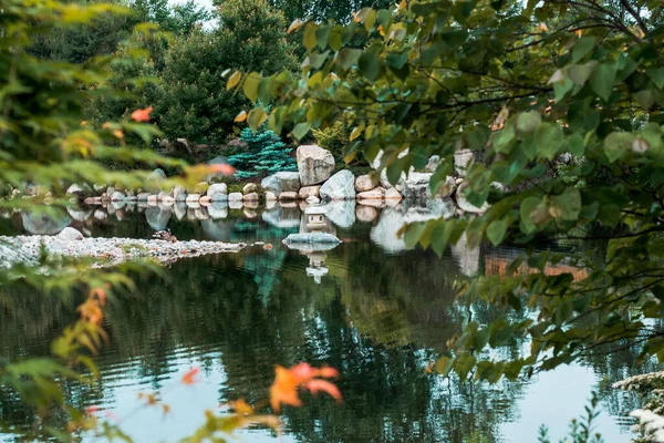 Heijastus Kivi Lyhty Järven Japanilainen Puutarha Frederik Meijer Gardens — kuvapankkivalokuva