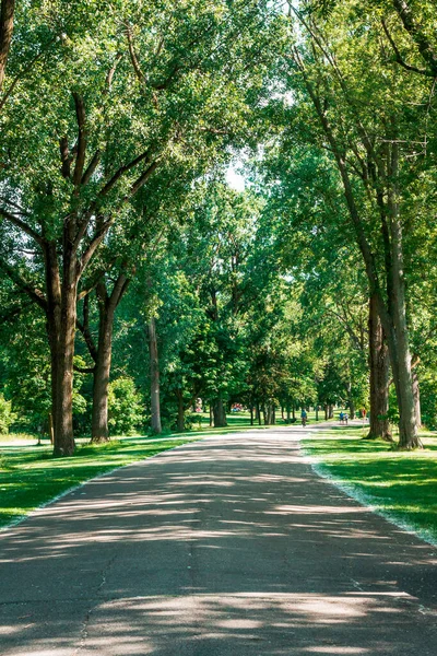 グランド ラピッズ ミシガンの公園を歩く道 — ストック写真