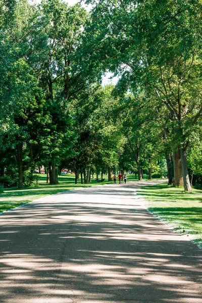 Περπάτημα Μονοπάτι Στο Grand Rapids Michigan — Φωτογραφία Αρχείου