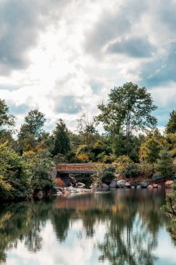Bir yaz günü Japon bahçesindeki köprü.