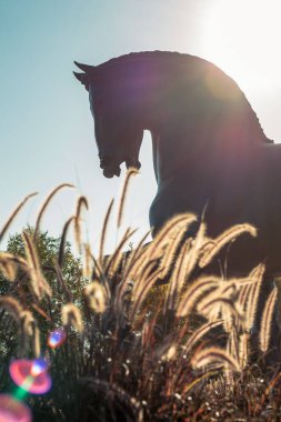 Amerikan At Heykeli 'nde Güneş Batıyor