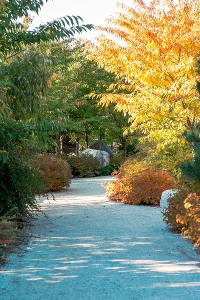 Chemin Automne Travers Les Jardins Frederik Meijer Grand Rapids Michigan — Photo