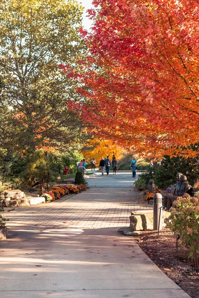 Caminho Outono Através Jardim Estátua — Fotografia de Stock