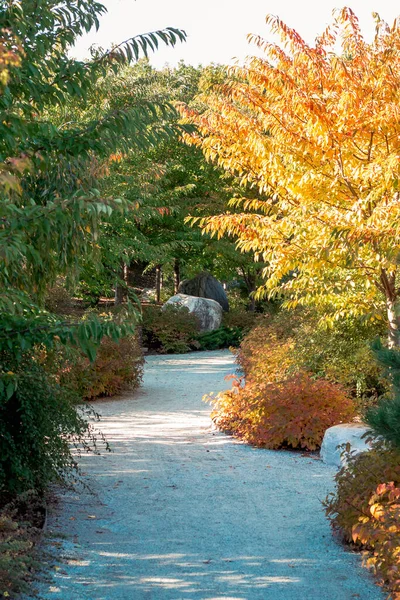 Chemin Travers Jardin Japonais Automne — Photo
