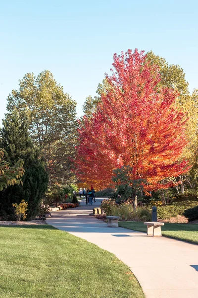 Chemin Travers Les Jardins Frederik Meijer Pendant Automne — Photo