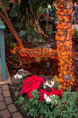 Tropikal serada Noel ışıkları