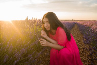 Yazlık elbiseli genç ve güzel Asyalı kadın romantik ve güzel mor lavanta çiçekleriyle eğleniyor doğa güzelliği kavramında.