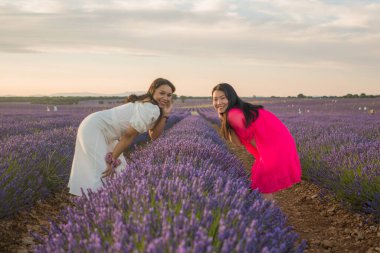 Genç, mutlu ve güzel Asyalı kadın lavanta çiçeği tarlasında İspanyol kız arkadaşıyla birlikte rahat ve kaygısız tatillerin tadını çıkarıyor. 